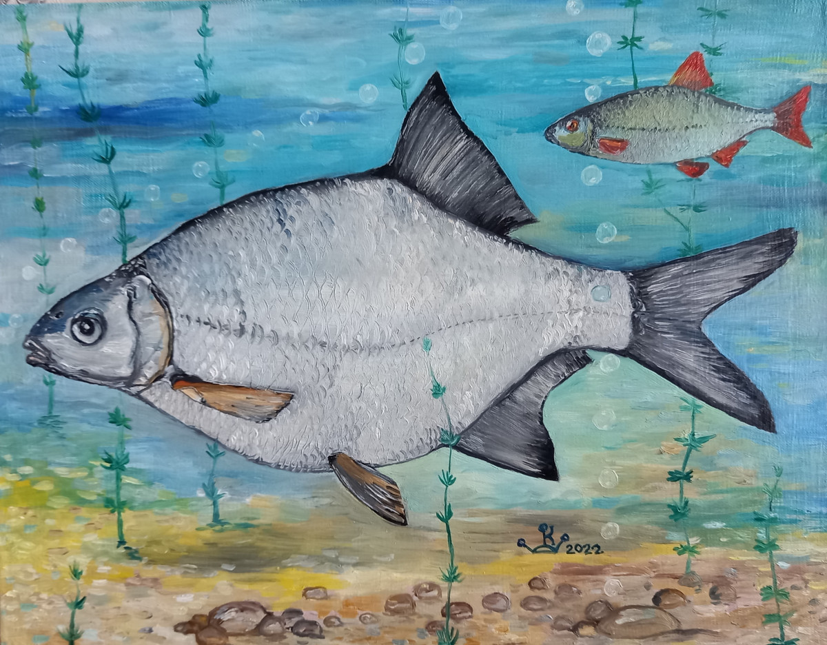 Рисунок карандашом рыба красноперка