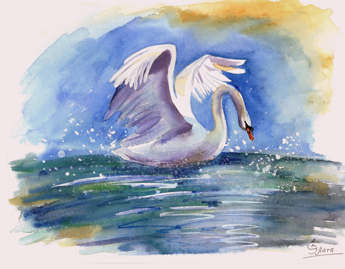Лебеди рисунок акварелью
